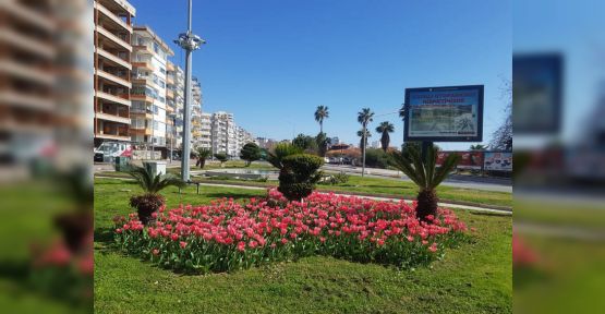 Baharın müjdecisi laleler Antalya yı süslüyor
